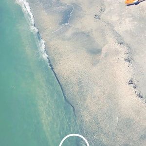 Meet your Posher, Gianna